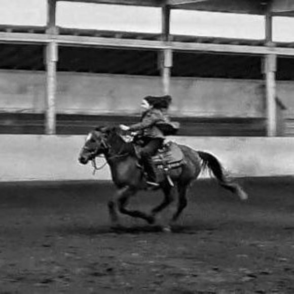 Meet your Posher, Lily - Picture 1 of 1